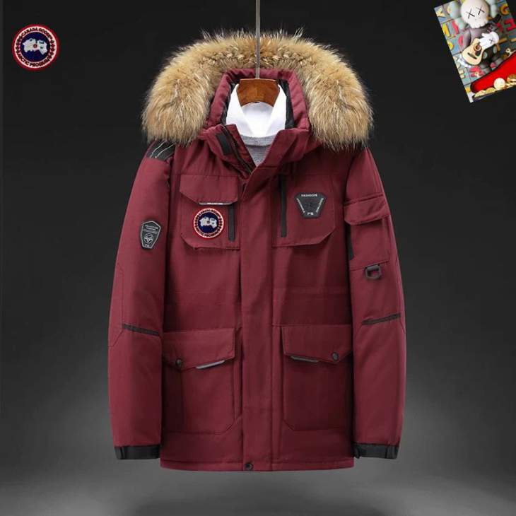 Picture of Canada Goose Down Jackets _SKUCanadaGooseM-3XL25tr19037931